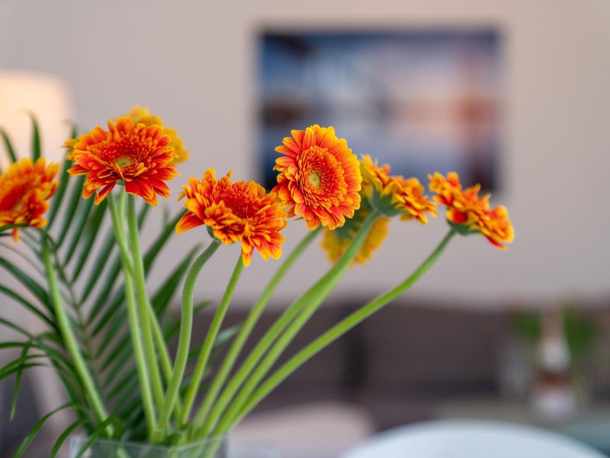 Apartment Stolzenfels-1 By Interhome Sellin  Esterno foto